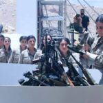 شركات الزعفرانية… من ملكية الدولة إلى نفوذ أصحاب المصالح